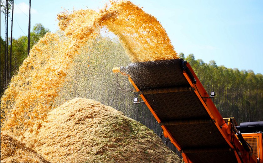 NetZero investe R$ 15 mi em 1ª fábrica de biochar a partir da cana-de-açúcar no Brasil
