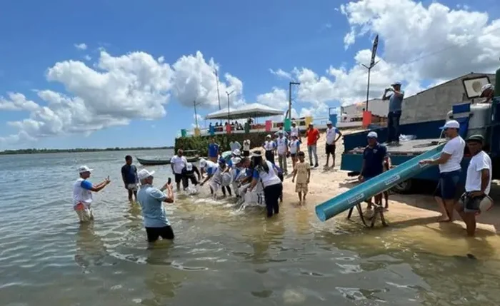 Peixamento no Rio São Francisco