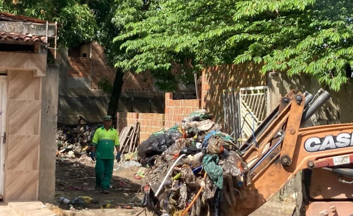 Materiais inservíveis facilitava a proliferação generalizada de roedores, escorpiões e baratas