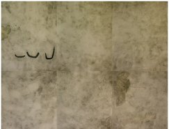 Ana Takenaka_obra.jpeg 