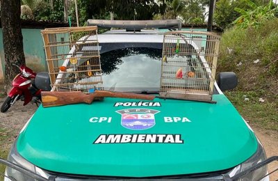 PM apreende 187 quilos de maconha em Arapiraca