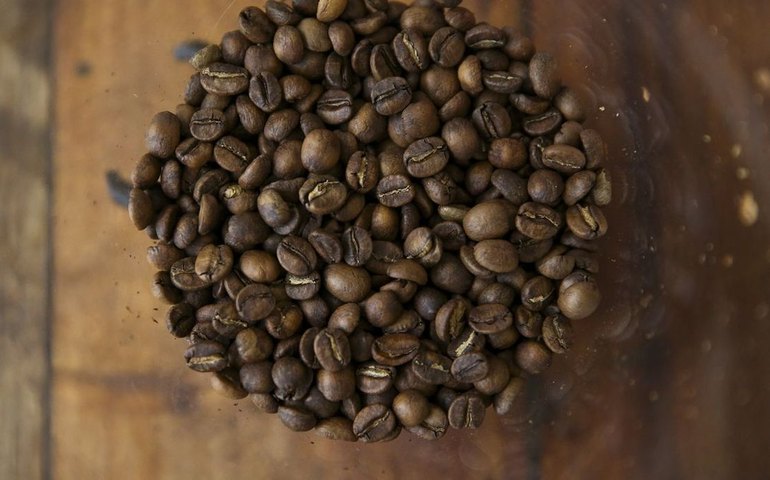 Tarifaço pode impactar vendas de suco de laranja, café, carne e frutas