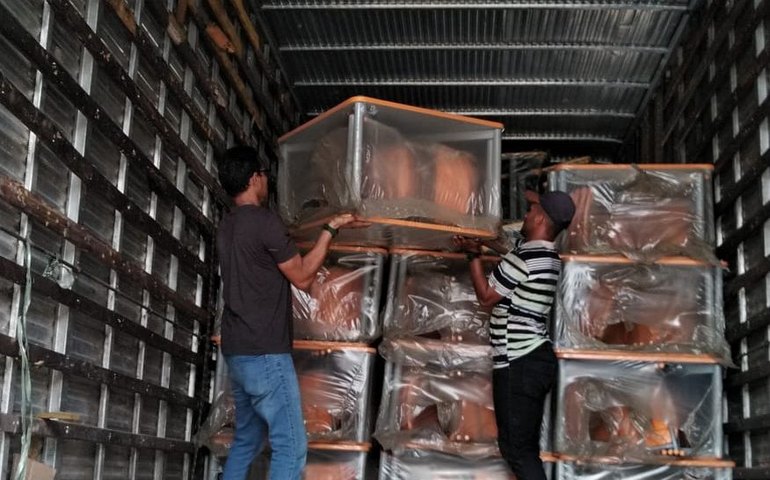 Com recursos próprios, prefeitura de Branquinha adquire novas carteiras para salas de aula