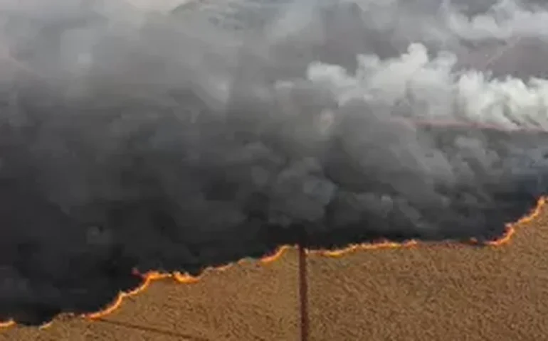 FPA cobra 'punição severa' para crimes de incêndio e quer aprovação do pacote antifogo