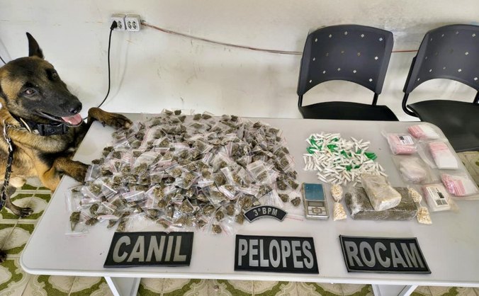Entorpecentes como maconha, crack e cocaína foram as maiores apreensões da PM no mês de março