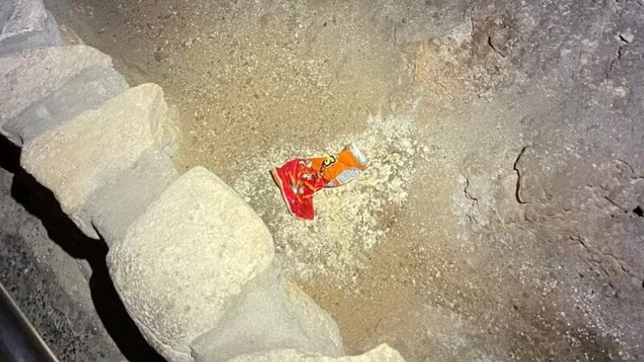 Salgadinho descartado em caverna nos EUA causa ameaça a morcegos e insetos; entenda
