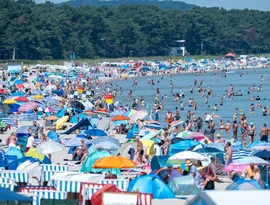 Rodovias alemãs estão cedendo sob o calor extremo enquanto a Europa Central ferve.