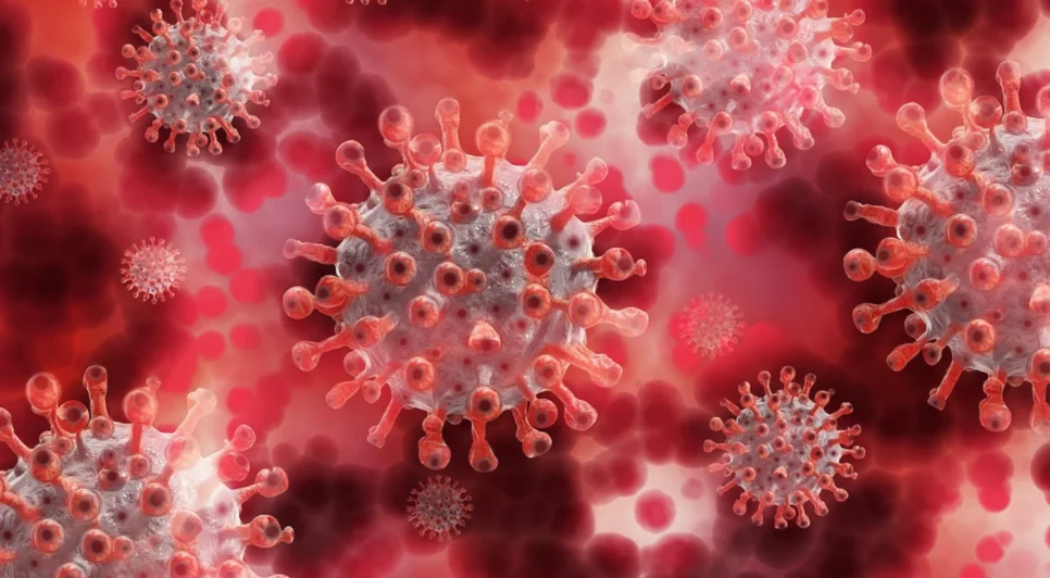 coronavirus-covid-1-1-848x477