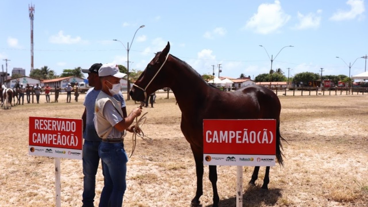 Expoagro/AL faz pista ‘pesada’ nos julgamentos