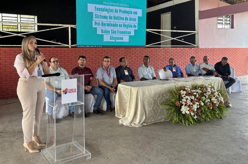Seagri fortalece rizicultura no Baixo São Francisco com Programa Alagoas Mais Arroz