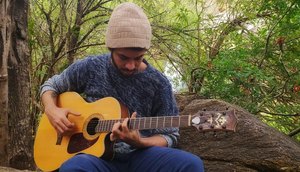 petrel musico