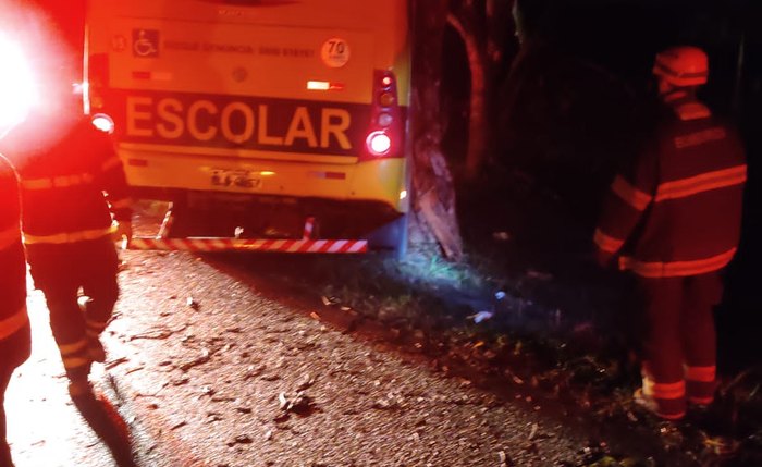 Cavalo atravessou a pista e causou acidente com ônibus Cavalo atravessou a pista e causou acidente com ônibus