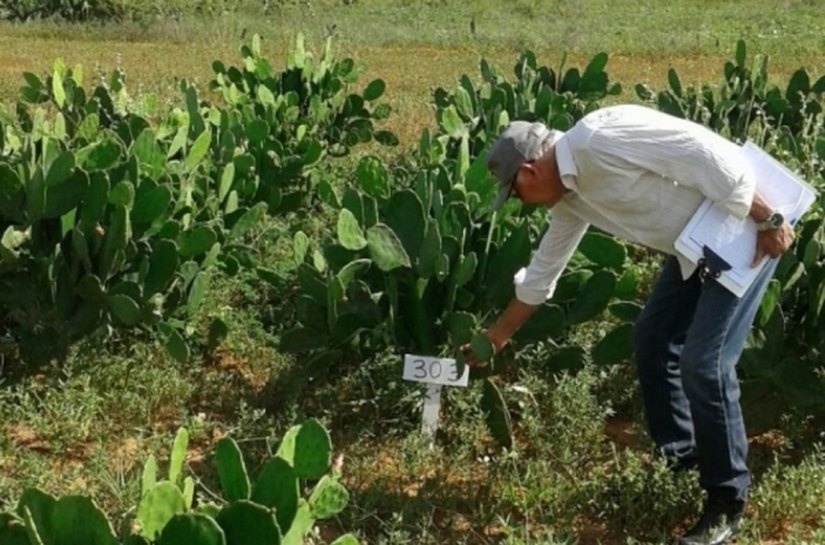 Emater irá colher material de pesquisa em Estação Experimental