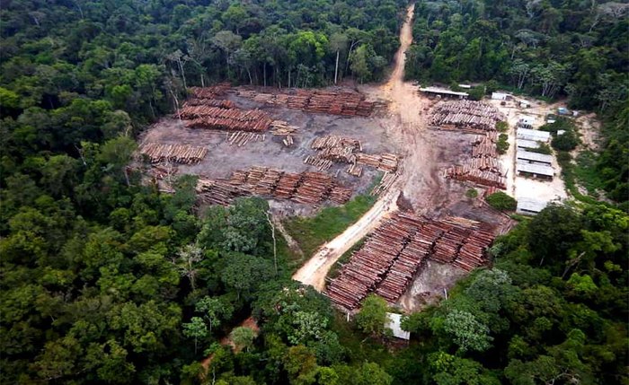 Kerry foi questionado pelo deputado democrata Albio Sires sobre o fato de o Brasil ter cortado verba do meio ambiente