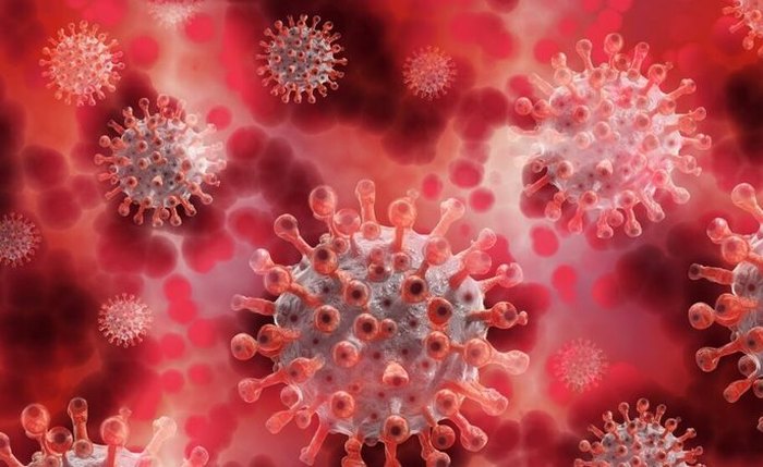 Coronavírus se multiplicou por um tempo superior ao recomendado para o isolamento