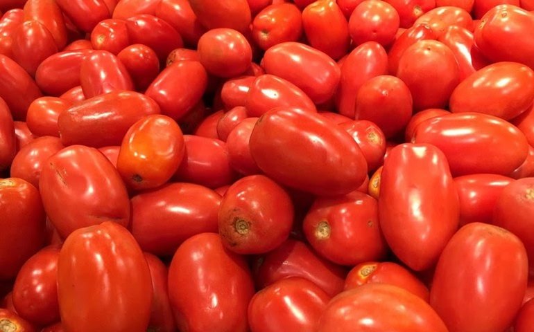 Alimentação registra queda de preços no IPCA pelo terceiro mês consecutivo