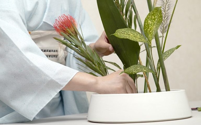Sancionada lei que cria o Dia Nacional da Ikebana
