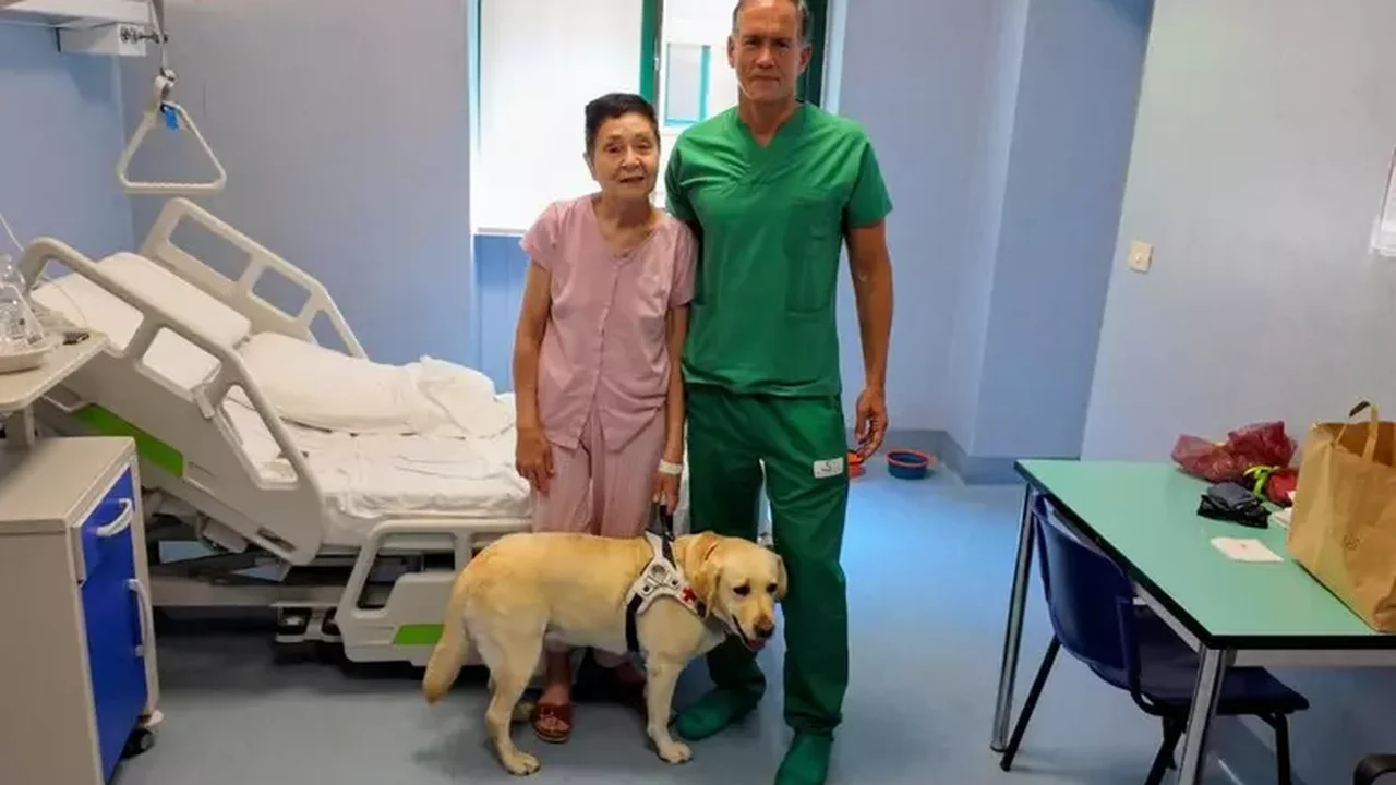 Itália faz transplante inédito e recupera visão de idosa cega há 5 anos