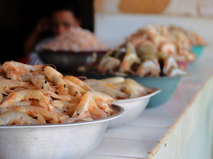 Semana Santa: Nutriconista orienta sobre compra, armazenamento e consumo de peixes e frutos do mar