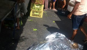 homicidio castelo branco