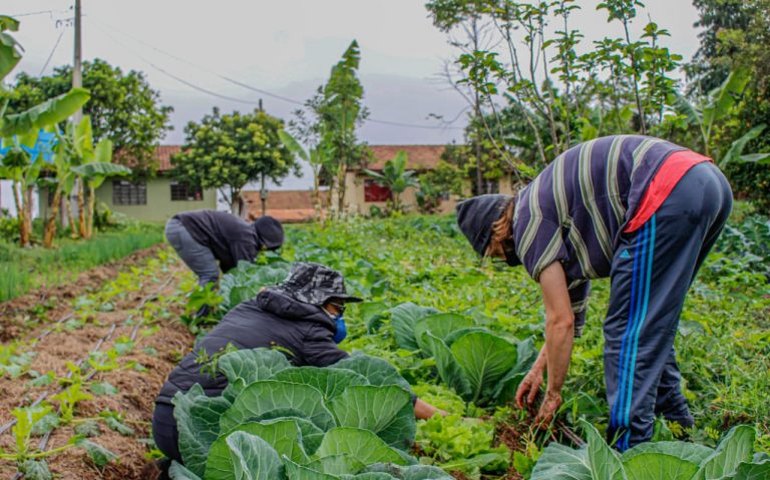 Sancionada lei que amplia acesso de agricultores familiares ao Garantia-Safra