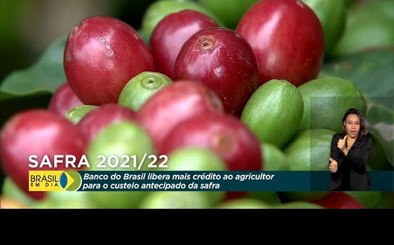 Banco do Brasil libera mais crédito ao agricultor para o custeio antecipado da safra