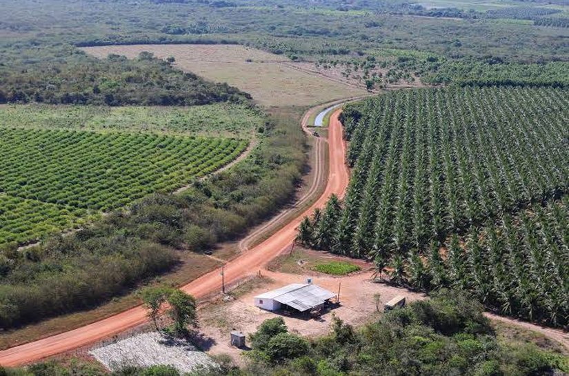 MIDR atualiza regras para reconhecimento dos Polos de Agricultura Irrigada