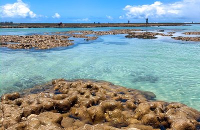 Prefeitura discute implantação do primeiro Parque Marinho em Maceió