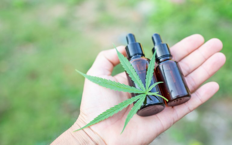 Justiça garante cultivo de maconha para fins medicinais