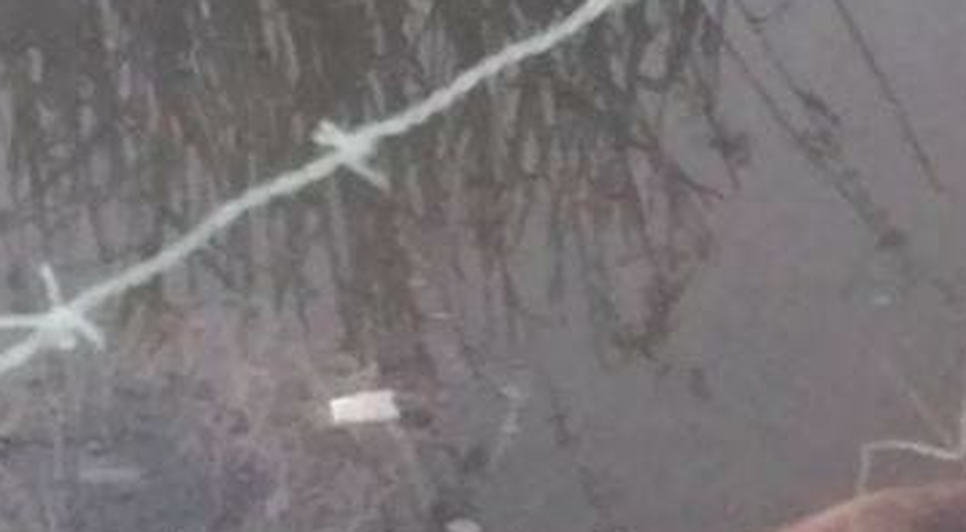 Pescador morre afogado em tanque no município de Boquim / Foto: Foto: Reprodução/Portal A8SE