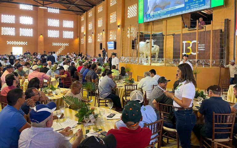 Leilão Nelore Barros Correia repete sucesso de liquidez e fatura mais de R$2,7 milhões