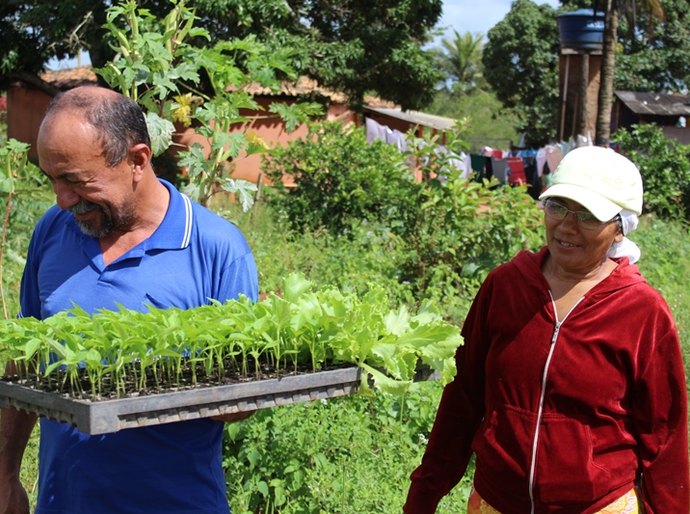 Projeto “Resgatando Horta de Quintal” beneficia 28 famílias quilombolas