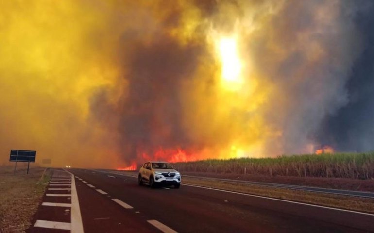 Governo de São Paulo mantém 48 cidades em alerta máximo para incêndios