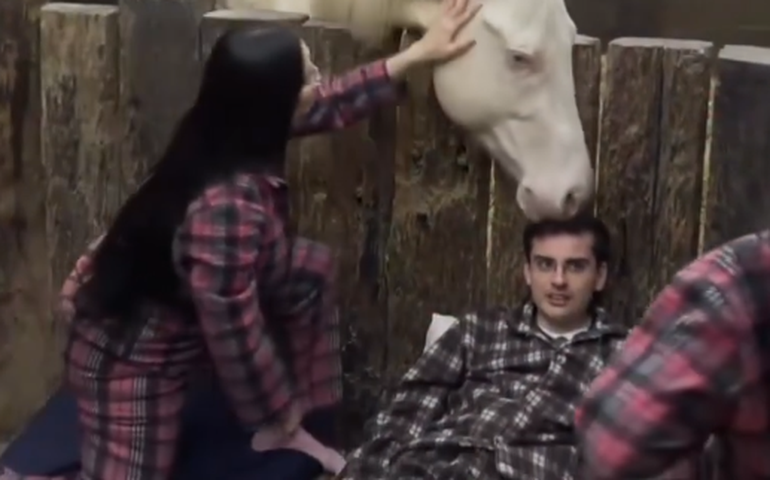 Cavalo morde a cabeça de Dudu Camargo em 'A Fazenda'