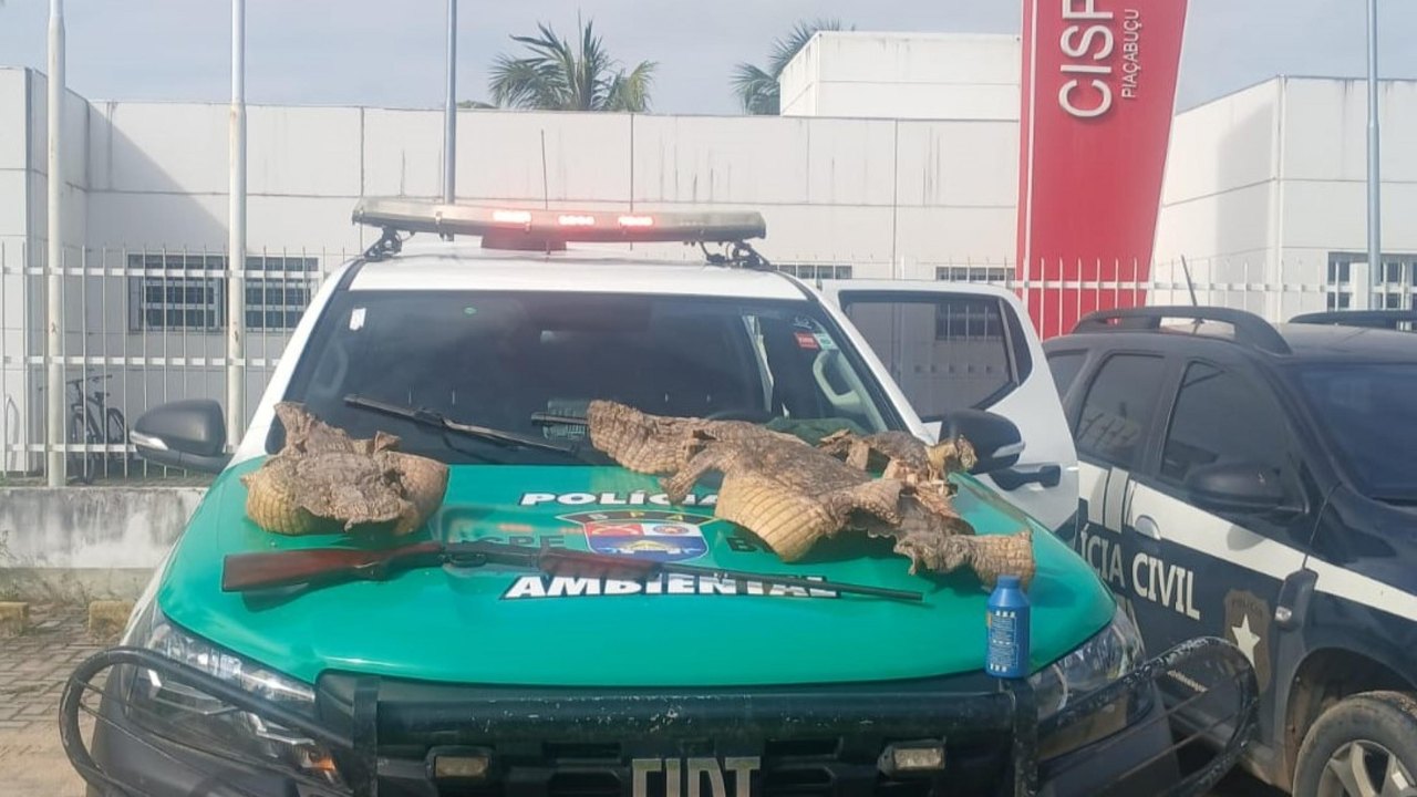 Polícia Militar apreende espingarda e peles de animais durante operação no interior