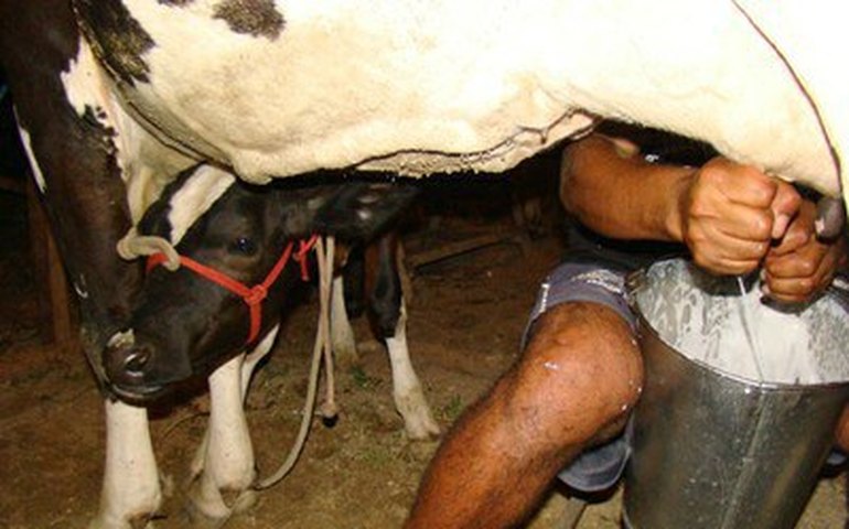 Missão entre Quebec e Alagoas está marcada para maio