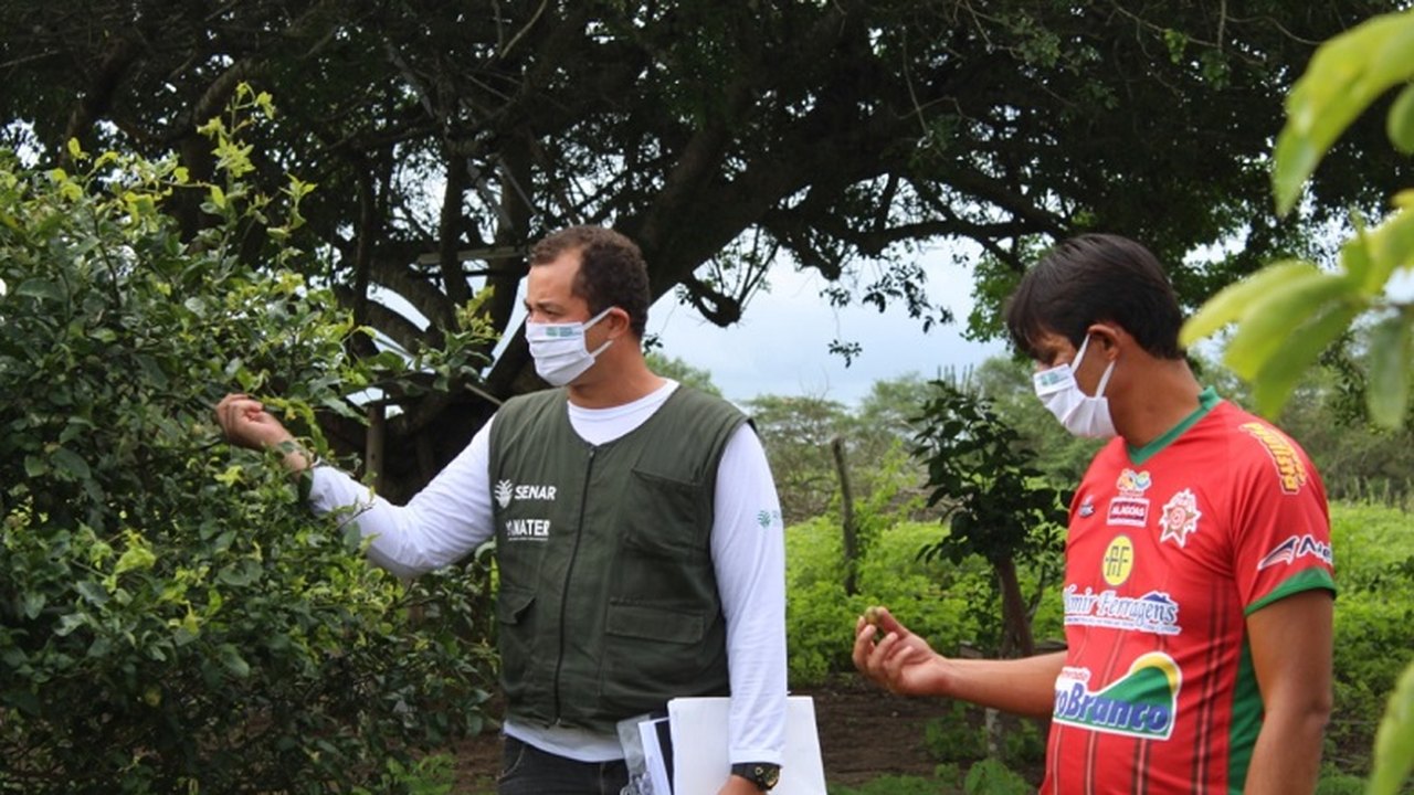 Senar capacita 2 mil alagoanos em ano de pandemia