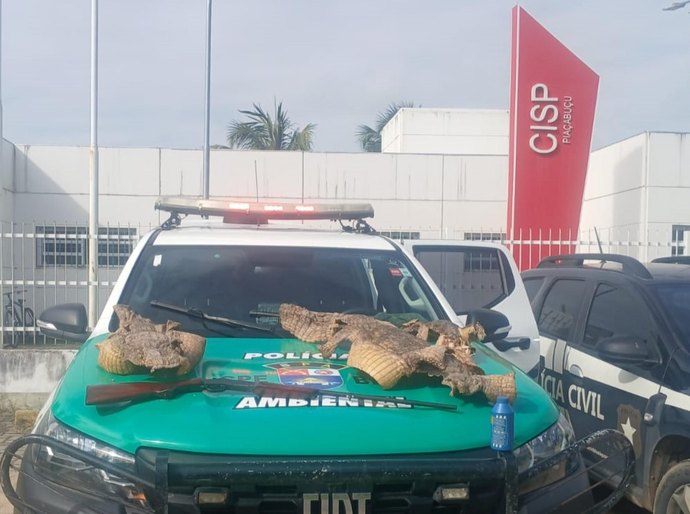 Polícia Militar apreende espingarda e peles de animais durante operação no interior