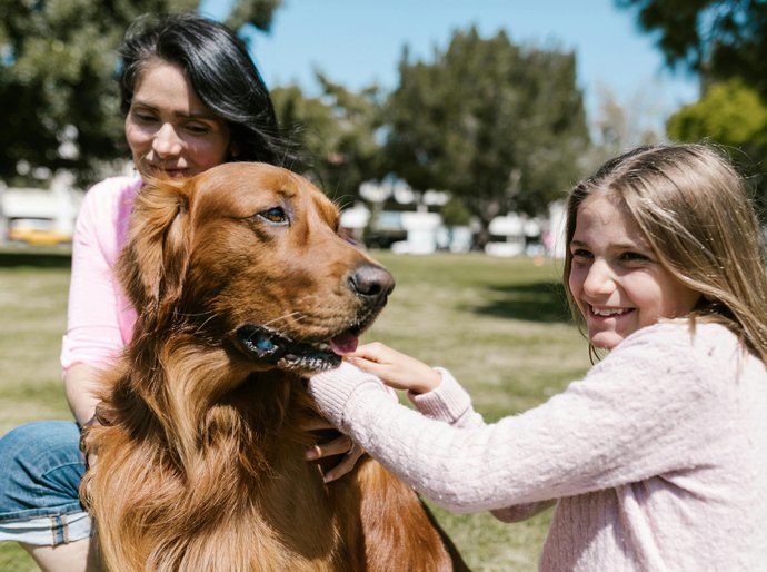 Medicina veterinária preventiva: benefícios além da saúde animal