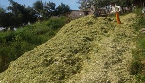 PRODUTORES RURAIS / Foto: Ascom/Seagri