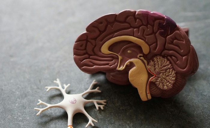 'Preservar a função cerebral e eliminar doenças': o que a neurocirurgia moderna pode fazer 'Preservar a função cerebral e eliminar doenças': o que a neurocirurgia moderna pode fazer