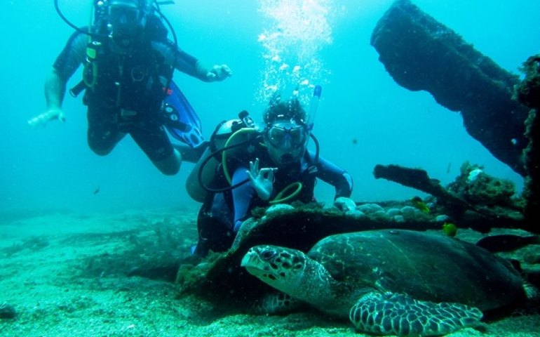 Booking.com: Maceió está na lista dos melhores destinos do Brasil para viagens sustentáveis
