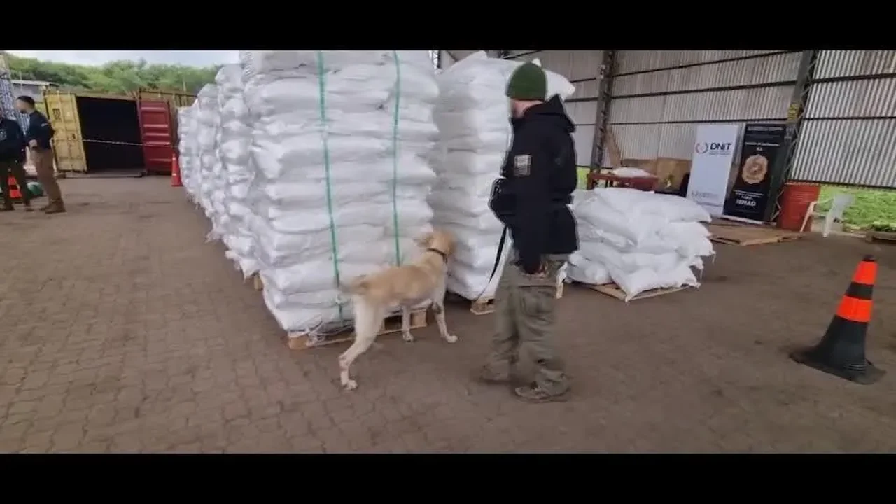 Espanha apreende quatro toneladas de cocaína em sacos de arroz vindos do Paraguai