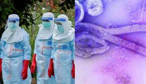 Surto de ebola em países da África causa preocupação 