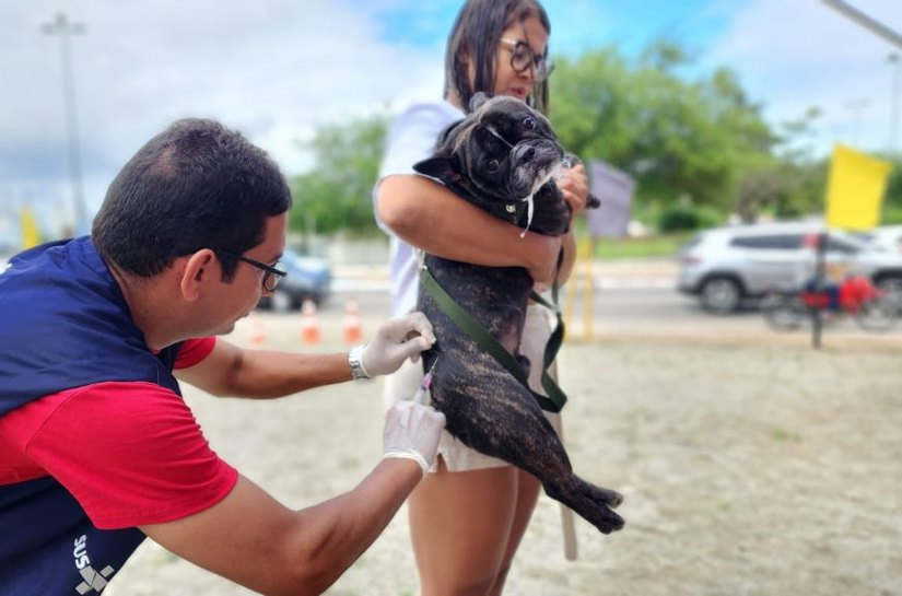 Com cobertura ampliada, Prefeitura de Arapiraca realiza mutirão de vacinação antirrábica neste sábado (27)