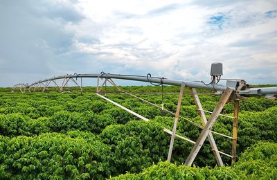 MDS disponibiliza R$ 40 milhões para doação de alimentos adquiridos da Agricultura Familiar por meio do PAA em 233 municípios