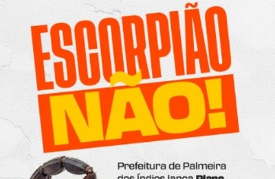 Prefeitura lança Plano de Ação para Prevenção e Controle de Escorpiões em Palmeira