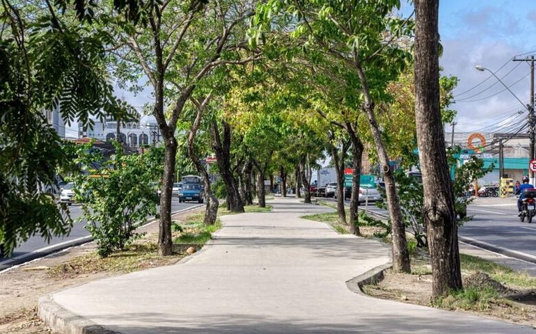 Obras da ciclovia da Avenida Fernandes Lima continuam em andamento