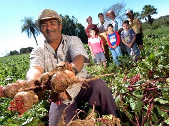 União autoriza pagamento de Garantia-Safra em 25 municípios de Alagoas