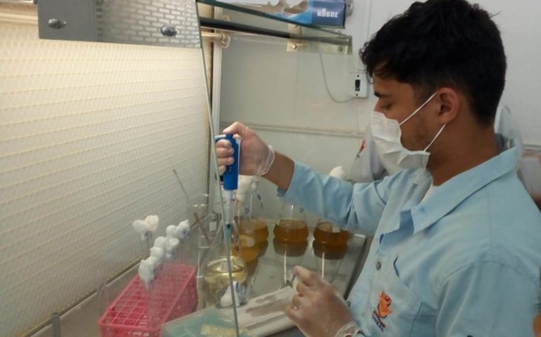 Polo Agroalimentar de Arapiraca beneficia a realização de pesquisas científicas em AL